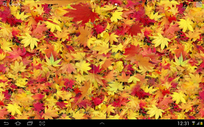 Daun musim gugur 3D screenshot 2
