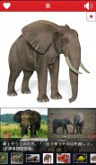 Animals for Kids screenshot 2