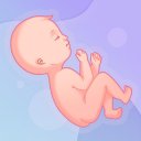 Pregnancy, Childbirth, Prenatal, & Maternity Info Icon