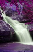 Wild Waterfalls Live Wallpaper screenshot 2