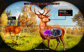 Wild Animal Deer Hunting Games screenshot 1