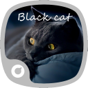 Black Cat-Solo Theme Icon