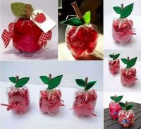 DIY Plastic Bottle Ideas screenshot 0