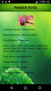 Medicinal Plants and Its Uses screenshot 4