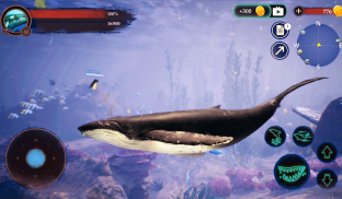 The Humpback Whales screenshot 16