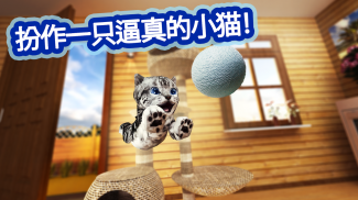 模拟猫咪 Cat Simulator screenshot 4