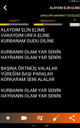 Türküler ve Şarkılar screenshot 6