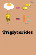 Triglycerides screenshot 0