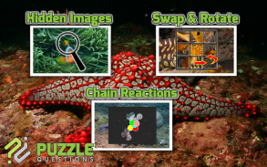 Free Under the Sea Puzzles screenshot 3