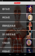 Junior Animated Anatomy Atlas screenshot 8