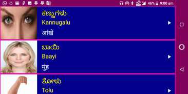 Learn Kannada From Hindi Pro screenshot 10