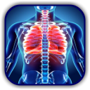 Chest X Ray - A Survival Guide Icon