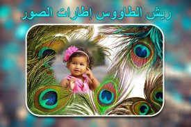 إطارات صور ريش الطاووس screenshot 2