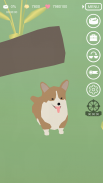 Animal Life screenshot 2