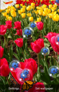 Spring Flowers Live Wallpaper screenshot 0