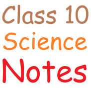 Class 10 Science Notes screenshot 8
