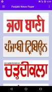 Punjabi News Papers - ePapers screenshot 13