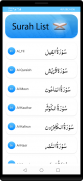 10 Small Surah Audio screenshot 1