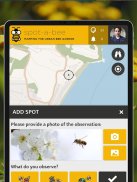 Spot-a-Bee  | SPOTTERON screenshot 2