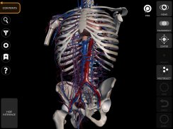 Anatomie - Atlas 3D screenshot 9