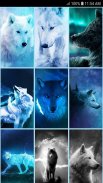 Ice Wolf Live Wallpaper HD screenshot 0