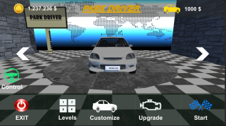 Park Driver screenshot 3