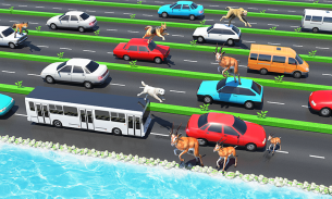 Animal Pets Traffic Highway Cross screenshot 0