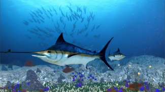 The Blue Marlin screenshot 1