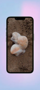 Kerang WalL screenshot 3