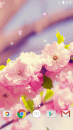 Sakura Wallpaper screenshot 6