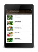 Natural Remedies: healthy life screenshot 21