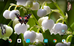 Lily of The Valley Wallpaper screenshot 5