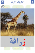 تعليم الحروف العربية | حروف ال screenshot 3