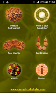 Rudraksha screenshot 5