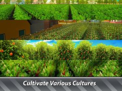 农场模拟器：Hay Tycoon - 种植和销售农作物！ screenshot 8