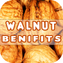 Walnut Benefits