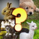 Baby Animals Quiz