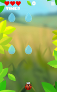 Ladybird Escape the rain screenshot 1