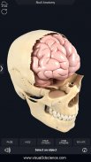 Skull Anatomy Pro. screenshot 1