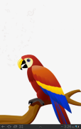 اصوات الطيور - Birds Sounds screenshot 2