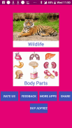 Learn Tamil Wildlife and Body Parts Names screenshot 8