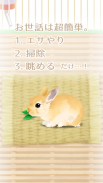 癒しのウサギ育成ゲーム screenshot 1