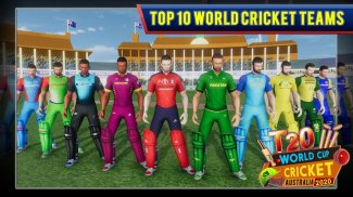 Cricket Championship Game 2024 screenshot 2