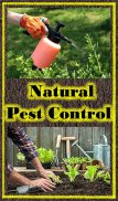 Natural Pest Control screenshot 1