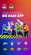 Big Bash screenshot 7