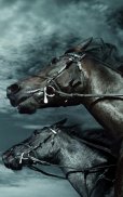 Horse HD Live Wallpaper screenshot 1