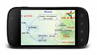 Animated Biology GSEB 12-3-2 screenshot 1