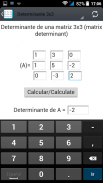Determinante screenshot 3