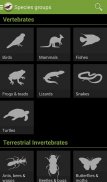 Field Guide to Victorian Fauna screenshot 8