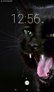 Cats Shake Live Wallpaper screenshot 0